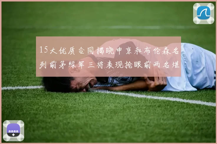 15大优质合同揭晓申京和布伦森名列前茅绿军三将表现抢眼前两名堪称传奇